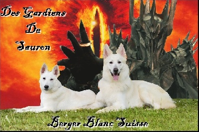Des Gardiens De Sauron